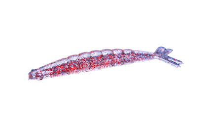3" THUMPERSHRIMP