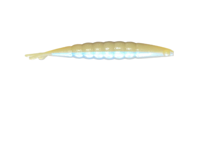 Ghost Shrimp