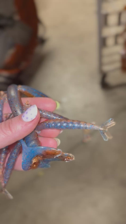 Limited edition dual color Blue crab 🦀